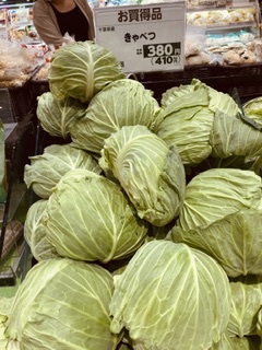 キャベツが高い❗️200円400円、1000円 キャベツが高い❗️200円400円、1000円