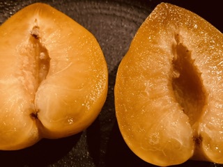 変わり種 変わり種