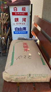 米 米