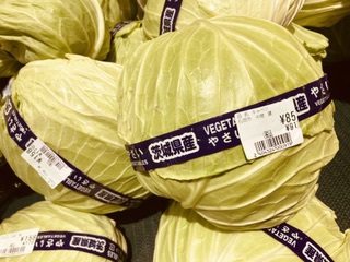 キャベツに春が来た ,,,85円 キャベツに春が来た ,,,85円