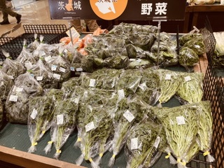 キャベツに春が来た ,,,85円 キャベツに春が来た ,,,85円