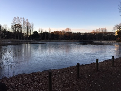 洞峰公園の池に氷があった❗️