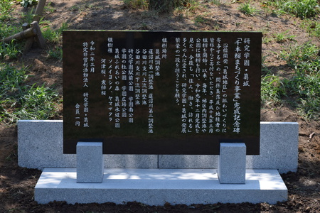 「研究学園千本桜」千本植樹達成の記念碑が立てられた！