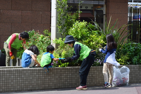 研究学園駅周辺はタキイ種苗さんのアイリス等がきれいに咲いていた！