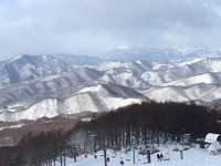 干支は酉☆ 2016/12/29 16:49:07