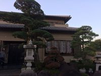 庭じまいの奇跡