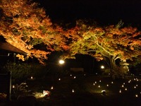 2011年11月30日