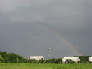 虹
