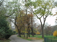 11月30日(日) ブローニュの森 Bois de Boulogne