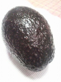 2009年10月19日
