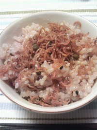 2010年03月02日