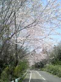 2010年04月07日