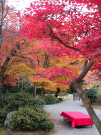 2010年11月23日