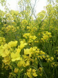 2011年04月21日