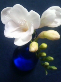 2011年05月03日