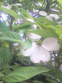 2011年05月07日