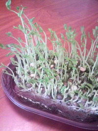2011年10月17日