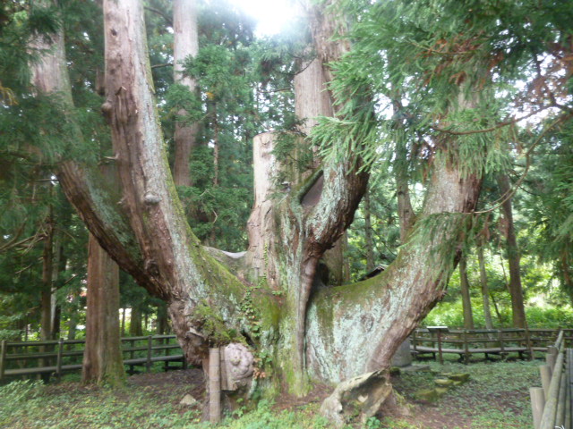 久しぶりの旅行