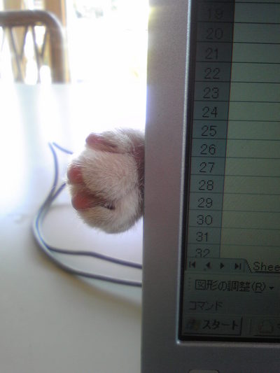 これな～んだ
