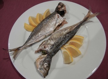 Cucina di PESCE　～鱈と鯵～