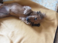 諦めが肝心