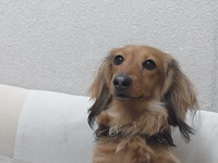 自分が変われば相手も変わる