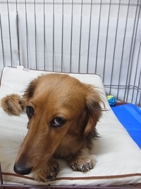 自分と向き合う
