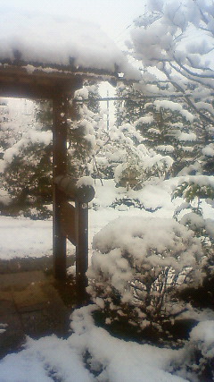 雪景色