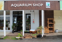知識豊富でイケメンオーナーの熱帯魚屋さん「Aquariumshop Breath」