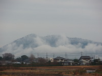 白