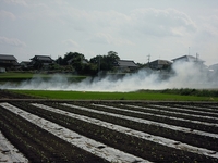 ψ　野焼き