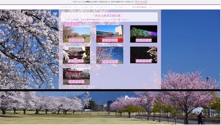 今年の桜を研究学園千本桜のホームページに追加しました！
