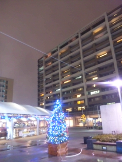 雨は夜更けすぎに