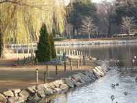 洞峰公園にクルマを置いて