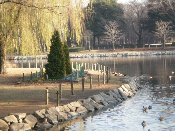 洞峰公園