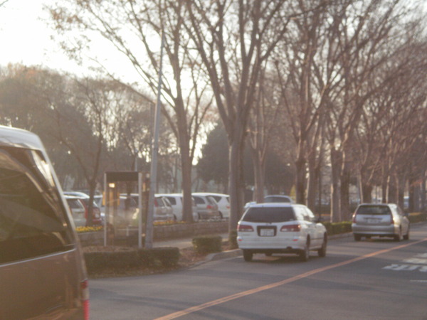 洞峰公園