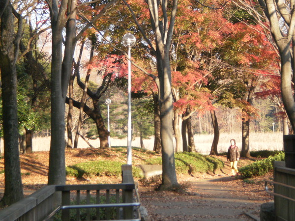 洞峰公園