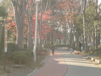 帰り道