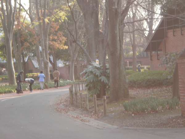 洞峰公園