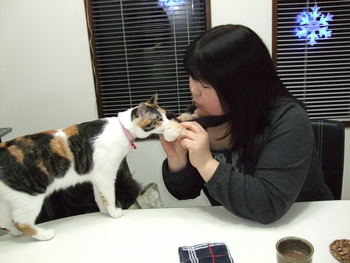 遊んでもらったにゃん(=^・^=)