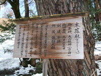 2010年04月21日