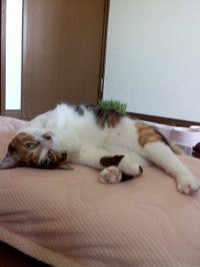 2010年04月13日