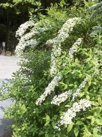 人間力☆彡
