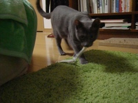 もう勘弁してください