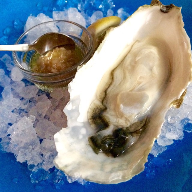 raw oysters.