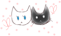 しろねことくろねこと私