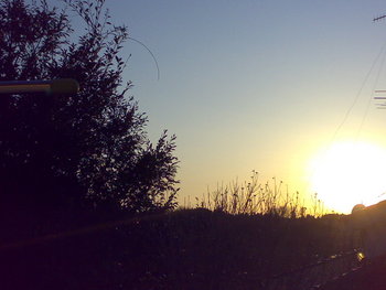 夕日