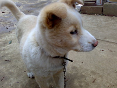 Friend