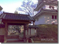 2009年03月17日