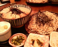 2008年11月11日